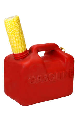 Gasoline can and corn to show energy concept.  の写真素材