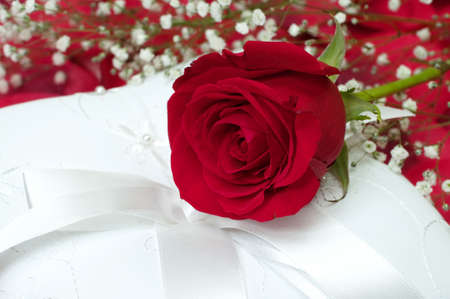 Red rose with baby's breath on white ring bearer's pillowの写真素材