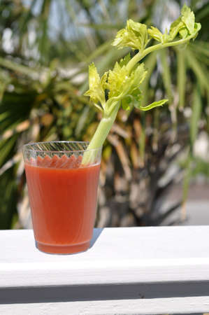 Bloody Mary with celery stalk garnish.  Palm tree in background.の写真素材