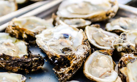 Raw oysters closeup with shallow depth of field の写真素材