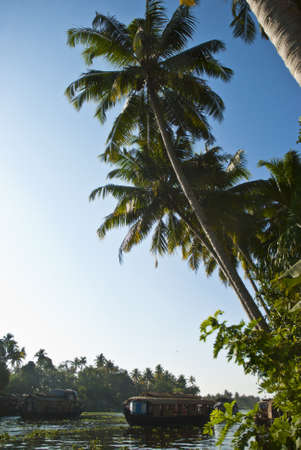 Backwaters Allapey