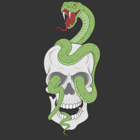 Illustration of skull with snake, traditional art.のイラスト素材