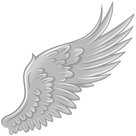 Vector design of angel wings, bird wings for decorationのイラスト素材