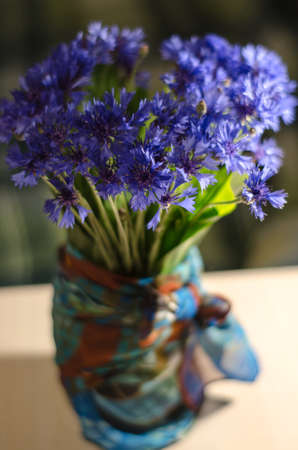 Blue Cornflowers closeup in abstract background with place for text.の写真素材