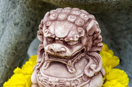 Chinese Stone Lion in Chinese Temple of Ayutthaya,Thailand の写真素材