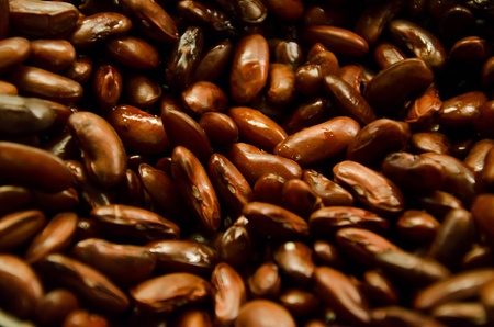 Clusters of Red Beanの写真素材