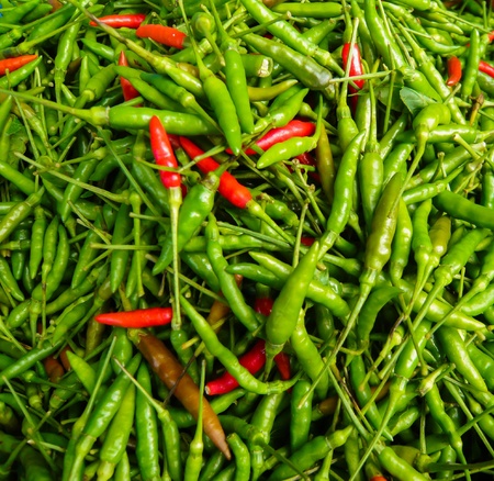 Hot and Spicy Bird Pepperの写真素材