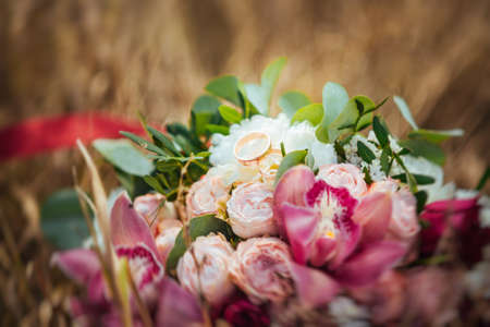 Beautiful Wedding walk on nature Ukraine Sumyの写真素材