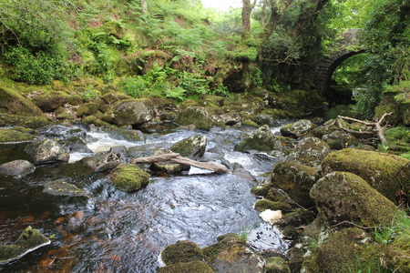 River through Dartmoorの写真素材