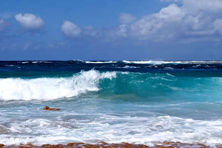 Blue lagoon on Rangiroa atoll.の写真素材