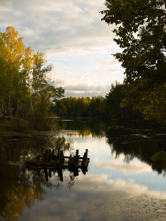 Lake in wood in the autumn evening.の写真素材