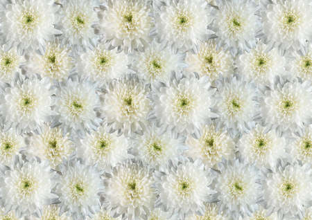 Textural background from white colours の写真素材