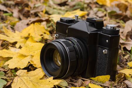 Black retro camera with yellow autumn leaves in the forest.