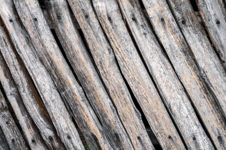 A weathered old wooden wall with rusty nails heads. Grey wooden planks texture background.の写真素材