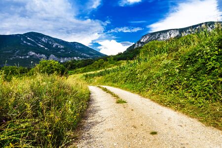 A mountain road between summer green grass next to cornfield on blue sky with clouds.の写真素材