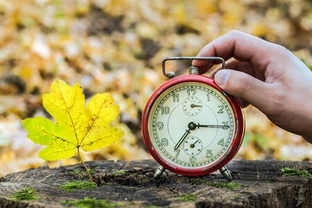 The man's hand stops a red classic vintage alarm clock on a stump in the forest next to a yellow autumn leaf.の写真素材