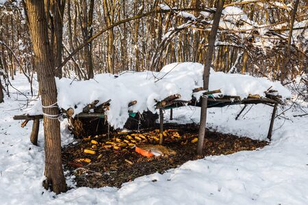 Feeder with corn for wild animals covered with snow located in between bare trees in winter forest.の写真素材