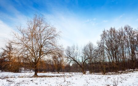 Winter landscape. Snow-covered valley, blue sky and naked trees on a sunny day.の写真素材