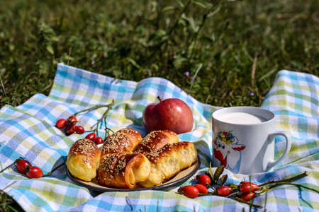 Plate with the bread rolls next to cup of milk drink, apple and rosehip berries on the chequered...