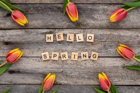 Orange-yellow tulips and wooden letters with phrase "hello spring" on rustic table.の写真素材