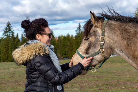 Beautiful smiling woman stroking a horse in a pasture.