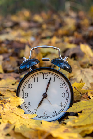 Vintage alarm clock on fallen dry leaves in autumn park with copy space for text.