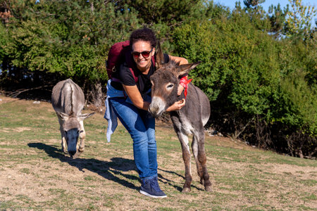 A smiling tourist woman hugged a donkey in a pasture.の写真素材