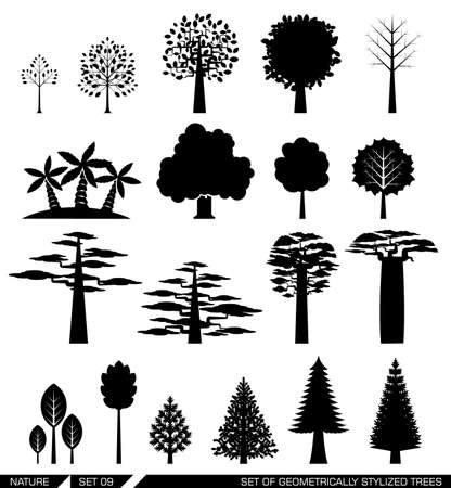 Various types of deciduous and evergreen trees. Set of flat vector icons.のイラスト素材