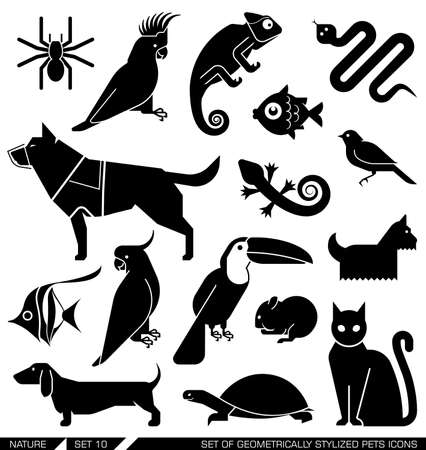 Set of various pet icons. Dog, cat, hamster, parrot, canary, spider, lizard, chameleon, tortoise, snake, aquarium fish.Suitable for various purposes, can be incorporated in logo due to their geometrical style.のイラスト素材