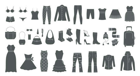 Set of womens clothing and accessories. Fashion and style elements.のイラスト素材