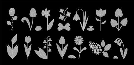 Flower icon set isolated on black. Cute various flowers including rose, Tulip, orchid, Espatifilo, Bells flowers, Bellis perennis, Bulb flowers.のイラスト素材