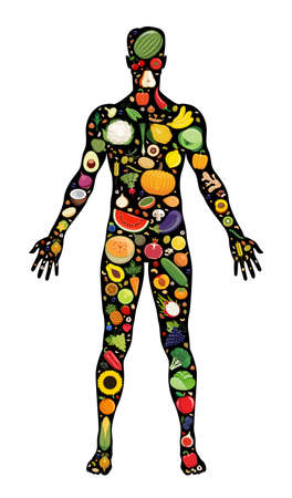 Set of fruit and vegetable icons forming man`s body shape. Vector illustration which represent healthy vegetarian diet with fresh fruit and vegetable. Vegetarian food icons.のイラスト素材