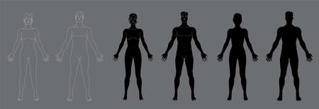 Woman`s and men`s body silhouettes. Vector illustration isolated on gray background.のイラスト素材