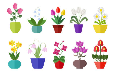 Flower flat icon set isolated on white. Various flowers in a vase including rose, tulip, orchid, Espatifilo, bells flowers, Bellis perennis, bulb flowers.のイラスト素材