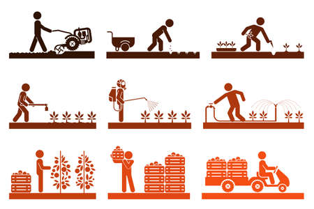 Food production. Pictogram icon set presenting different stages in agricultural process and gardening. Icon set presenting gardening, plowing, sowing, watering, picking, palletisation and warehousing, transporting.のイラスト素材