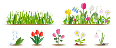 Flower and grass flat icon set isolated on white. Various garden flowers including rose, tulip, orchid, Espatifilo, bells flowers, Bellis perennis, bulb flowers.のイラスト素材