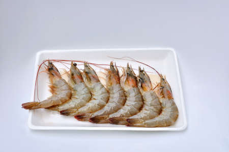 Fresh shrimps on foam packageの写真素材