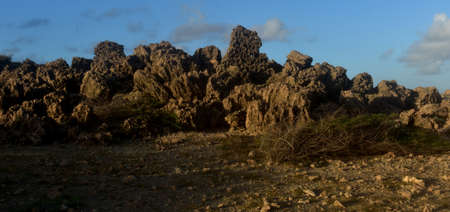 Rugged lava rock landscape in Aruba.