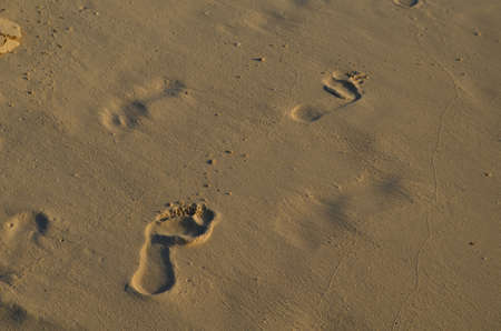 Imprints of footprints in the soft beach sand.の写真素材