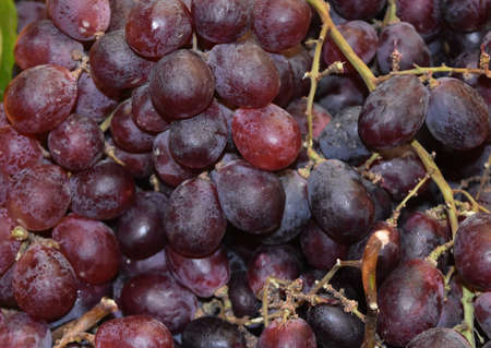 Ripe bunch of fresh red grapes at the farmer's market.