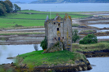 Lichen growing on the ruins of Castle Stalker.の写真素材