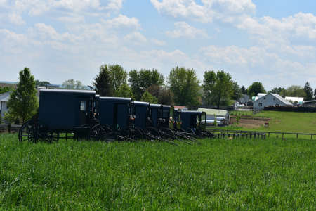 Parked buggies and carts on a farm in Lancaster County, PA.の写真素材