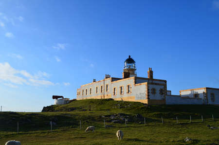 Group of sheep grazing by the the Neist Point Lighthouse in Scotland.の写真素材