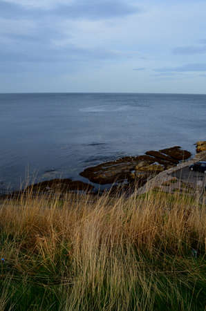 St Andrew's coastal views with tall grass.の写真素材