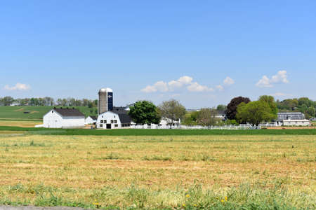Farmland with white barns and silos surrounded by fields.の写真素材