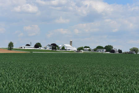 Fields and pastures on a lovely Lancaster County farm.の写真素材
