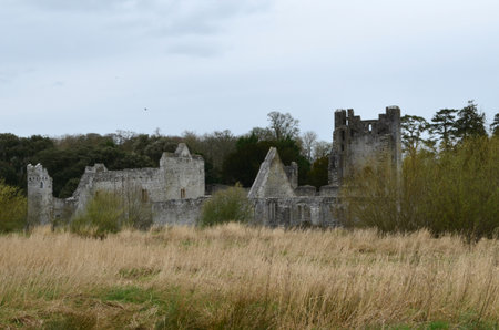 Castle ruins in the countryside of Ireland.