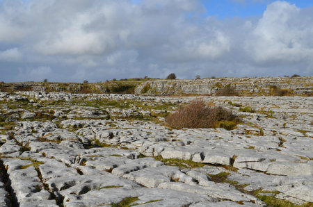 Beautiful Burren landscape with a field of gray stones and rocks