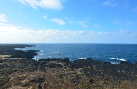 Beautiful lava rock coastline in rural Iceland.
