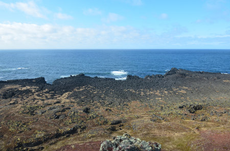 Coastal views of black lava rock coastline in Iceland.